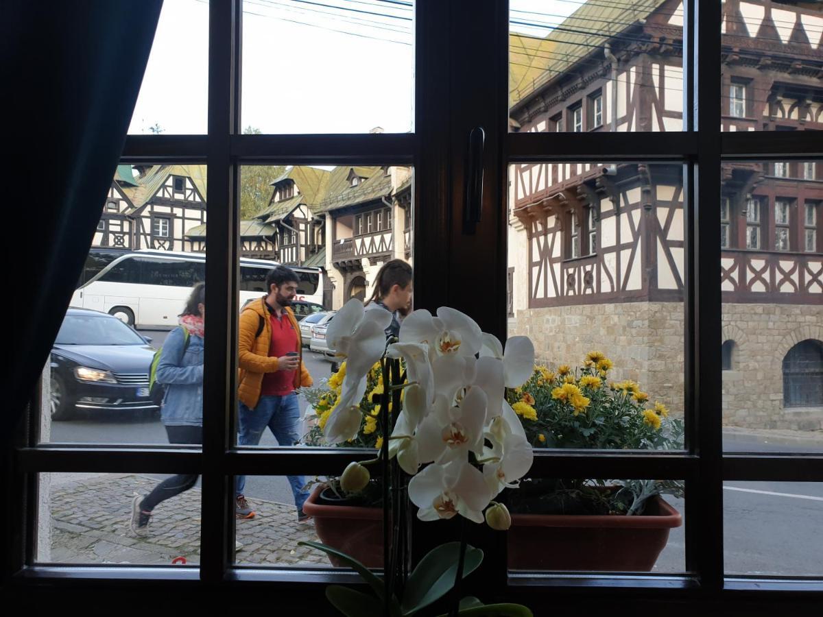 Hotel Boutique Vila Lakastel ซินายา ภายนอก รูปภาพ